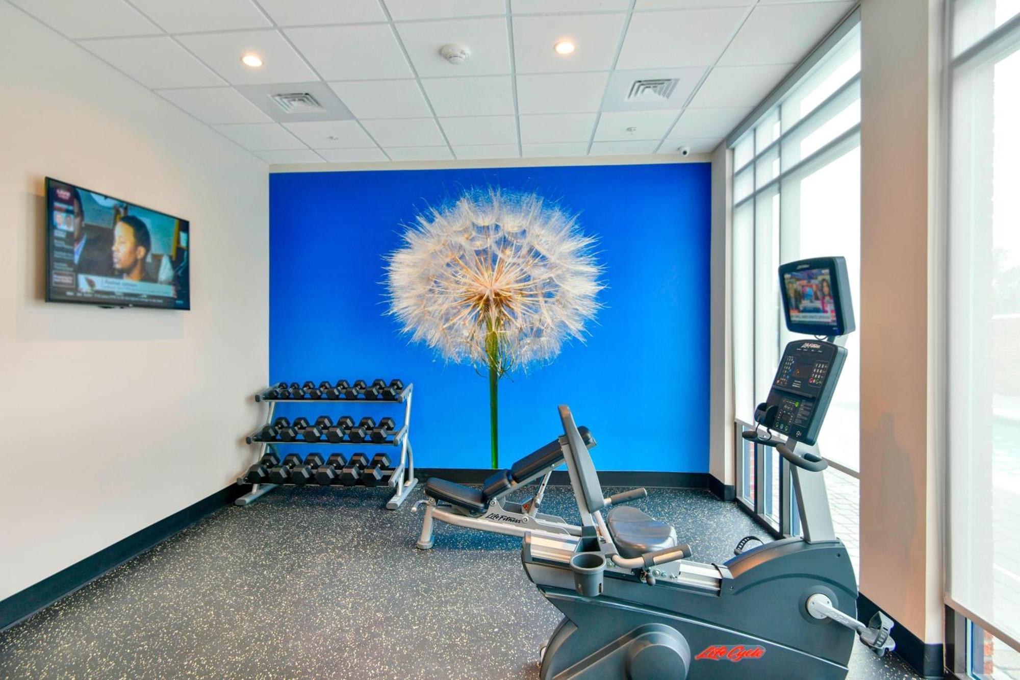 Springhill Suites By Marriott Wilmington Wrightsville Beach Eksteriør bilde